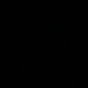 Meet your Posher, Citlally